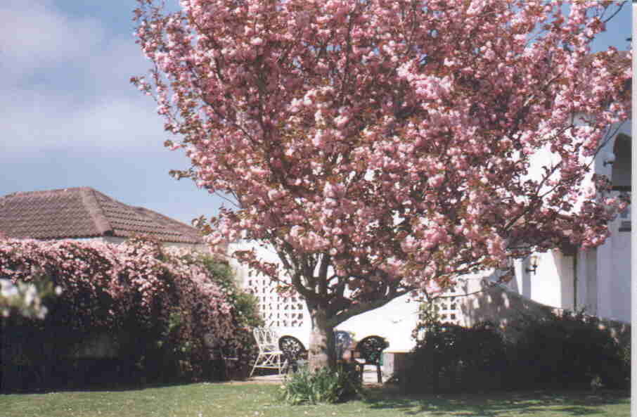 Lolaido Garden in April 2000